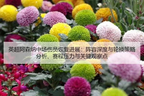 英超阿森纳中场伤员恢复进展：阵容深度与轮换策略分析、赛程压力与关键观察点